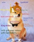 Top Doge